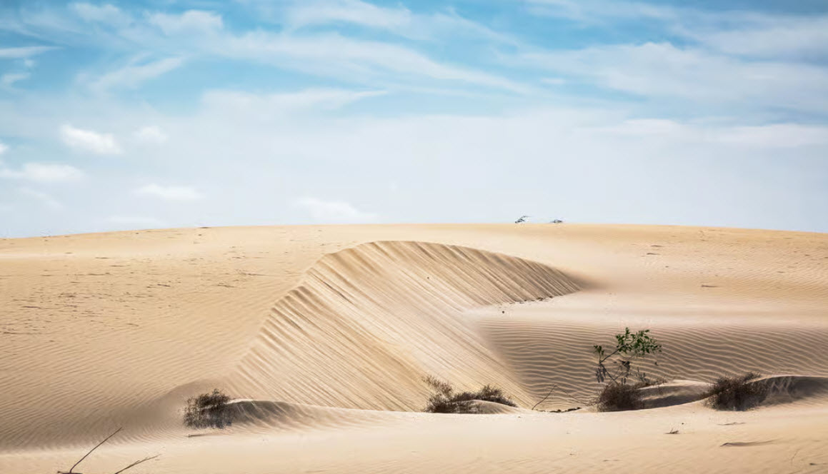 Viana Desert